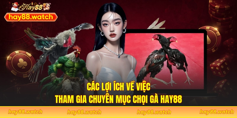 Các lợi ích về việc tham gia chuyên mục chọi gà Hay88
