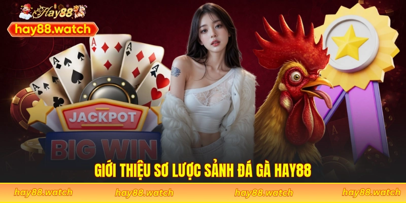 Giới thiệu sơ lược sảnh đá gà Hay88