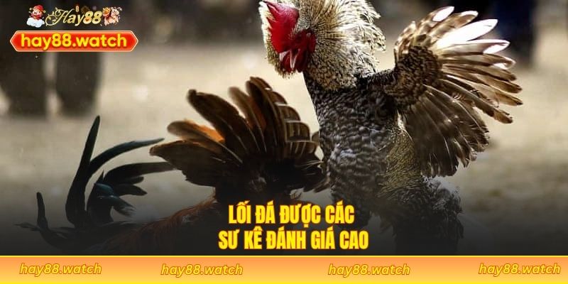 Lối đá được các sư kê đánh giá cao