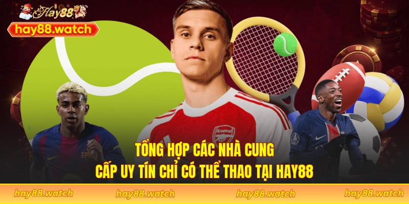 Tổng hợp các nhà cung cấp uy tín chỉ có thể thao tại Hay88