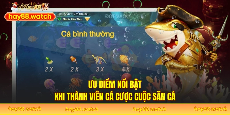 Ưu điểm nổi bật khi thành viên cá cược cuộc săn cá 